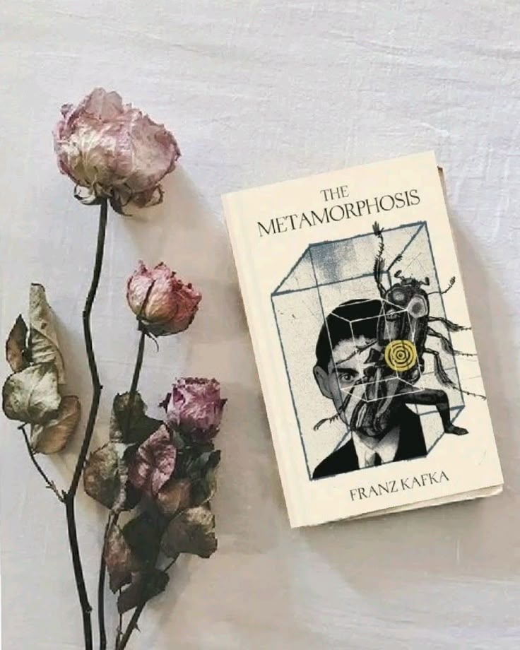 The Metamorphosis by Franz Kafka