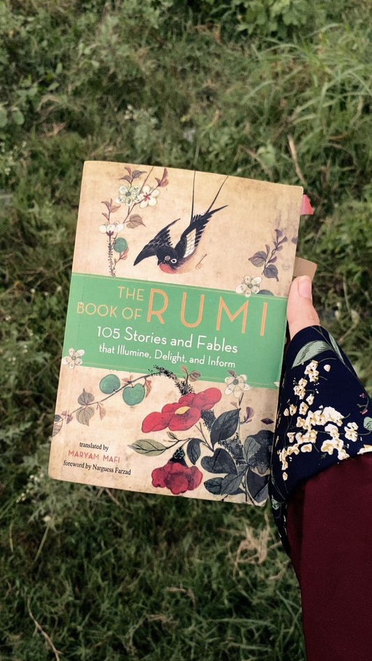 The Book Of Rumi 105 Stories And Fables