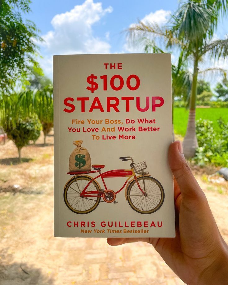 The $100 Startup By Chris Guillebeau